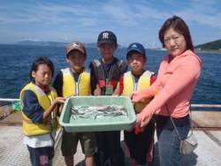 須磨海釣り公園　サビキでアジ・イワシの釣果