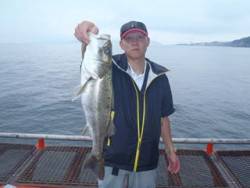 神戸市立須磨海づり公園　ハネ、スズキ