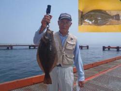 神戸市立須磨海づり公園　ヒラメ　記録賞！　53.0cm