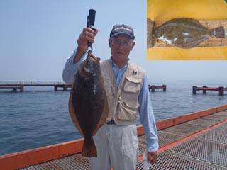 神戸市立須磨海づり公園　ヒラメ　記録賞！　…