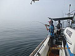 遊漁船 未紗奈 釣果