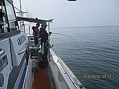 遊漁船 未紗奈 釣果