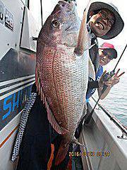 遊漁船 未紗奈 釣果