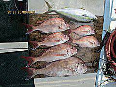 遊漁船 未紗奈 釣果