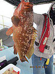 遊漁船 未紗奈 釣果