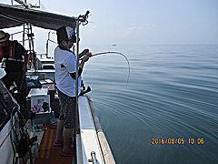 遊漁船 未紗奈 釣果