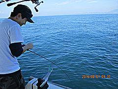 遊漁船 未紗奈 釣果