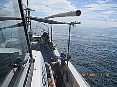 遊漁船 未紗奈 釣果