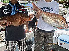 遊漁船 未紗奈 釣果