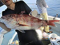 遊漁船 未紗奈 釣果