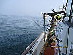 遊漁船 未紗奈 釣果