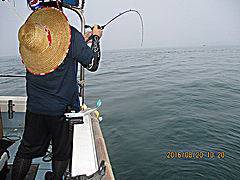 遊漁船 未紗奈 釣果