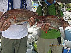 遊漁船 未紗奈 釣果