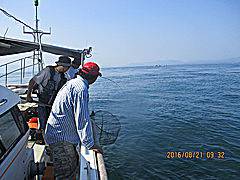 遊漁船 未紗奈 釣果