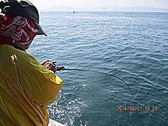 遊漁船 未紗奈 釣果