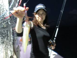 ジギング船 BLUEWATER 釣果