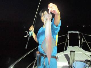 ジギング船 BLUEWATER 釣果