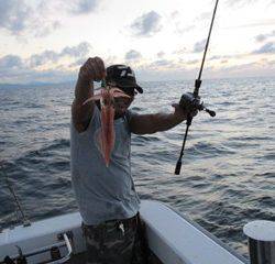 ジギング船 BLUEWATER 釣果