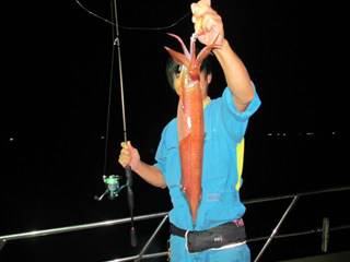 ジギング船 BLUEWATER 釣果