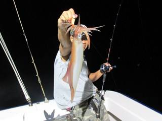 ジギング船 BLUEWATER 釣果