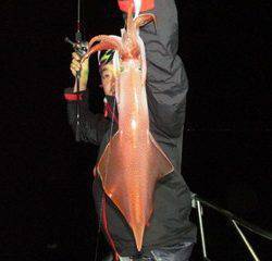 ジギング船 BLUEWATER 釣果