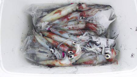 久々に会った友達とケンサキ狙い！