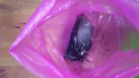 ライトエギング