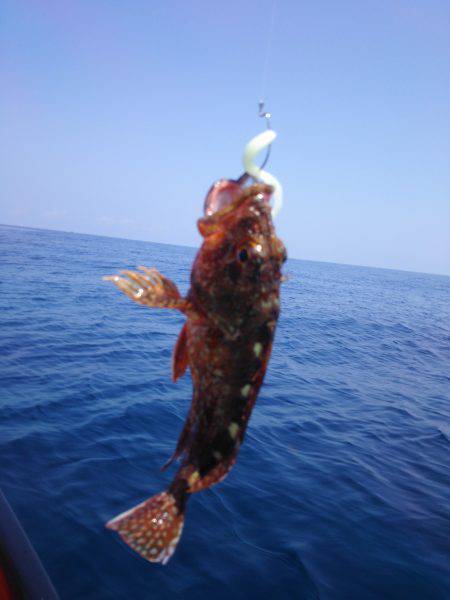 夏ロックとおまけ