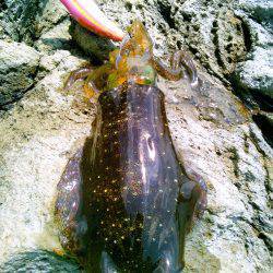 風に負けるな♪