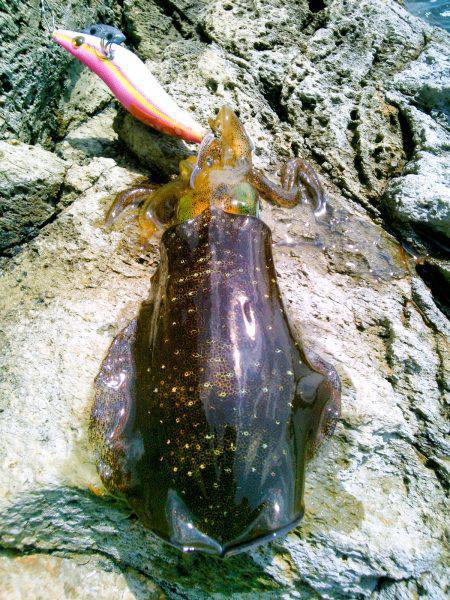 風に負けるな♪