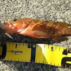 E・S・O！E・S・O！