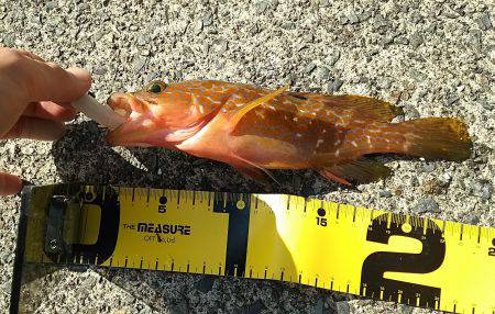 E・S・O！E・S・O！