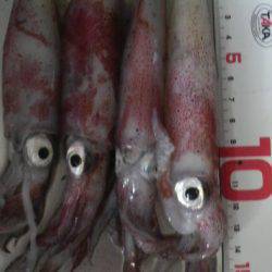 リベンジ・・・