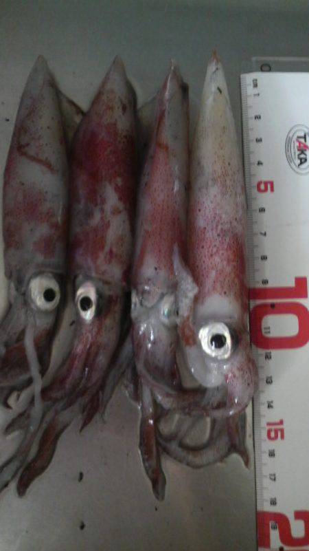 リベンジ・・・