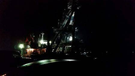 兵庫突堤、朝は表層が良かったです