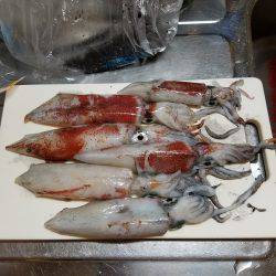 まあまあいいサイズ。