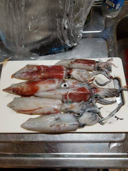 まあまあいいサイズ。