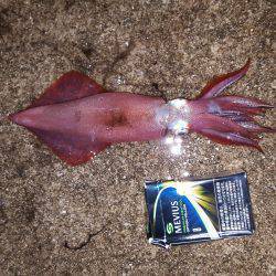 期待を裏切り…