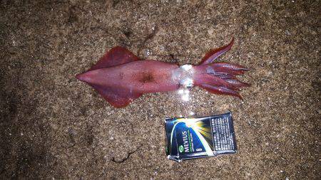 期待を裏切り…