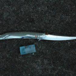 ＬＳＧでタチウオ