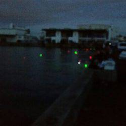 タチウオ、ノーバイト!でもベイトは沢山。