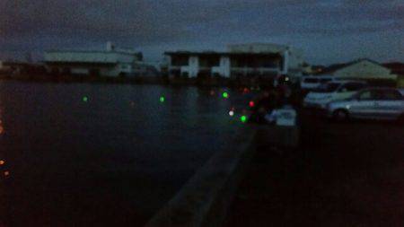 タチウオ、ノーバイト!でもベイトは沢山。