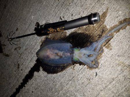 強風の中にて。