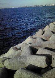 ジグサビキのちワインド！