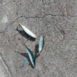 スーパーライトショアジギング