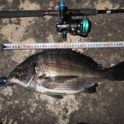 絶好調のテクトロチヌゲーム。