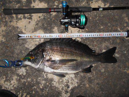 絶好調のテクトロチヌゲーム。