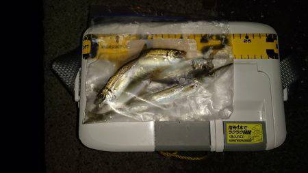 豆すぎました。