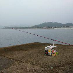 阿万海岸へキス釣査