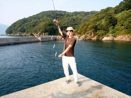 沼島 泊波止赤灯台でサビキ釣り